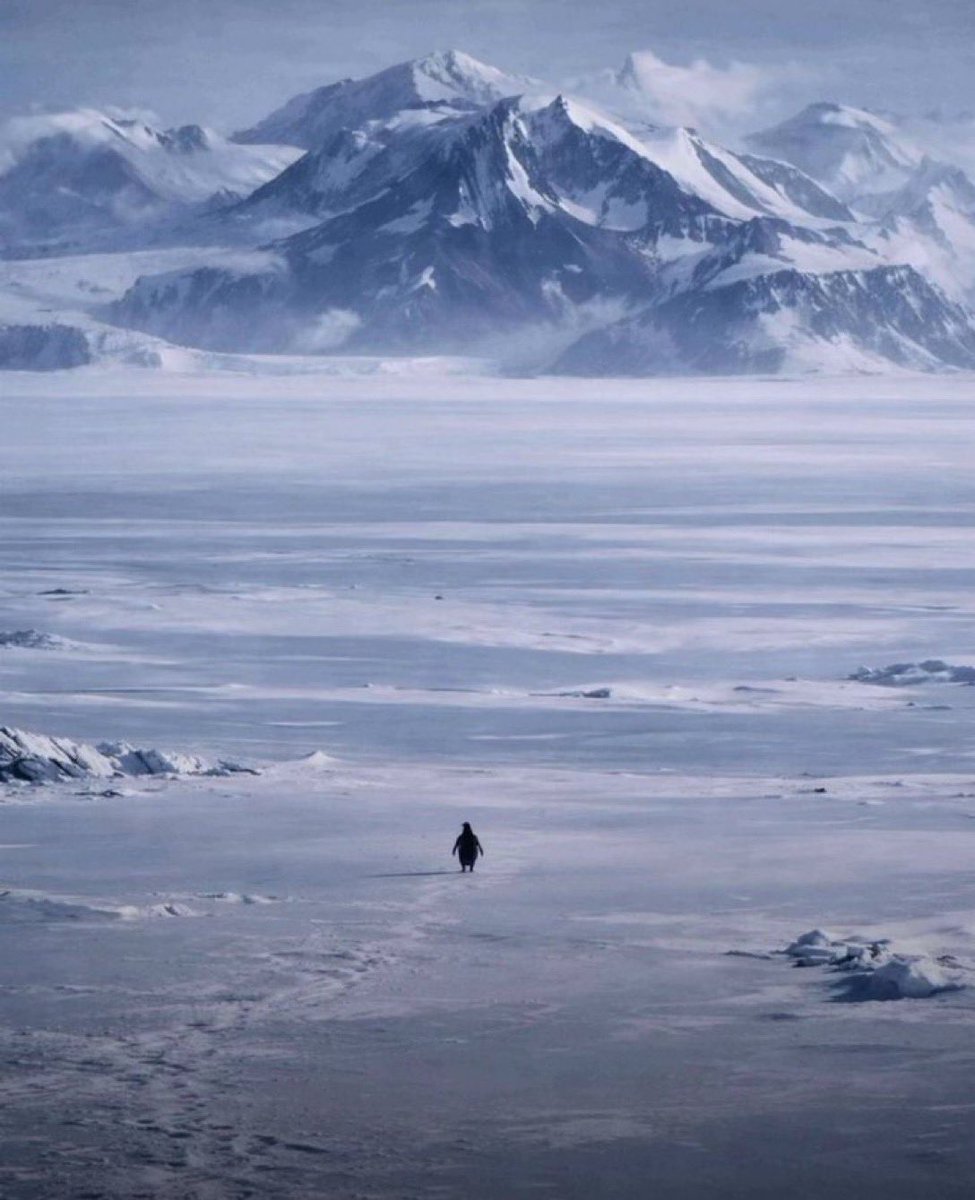 how it feels to be a solo trader in a world of fnfs