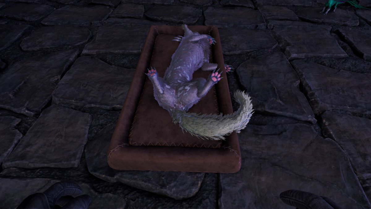 アルゲンたびす🦜 tweet media