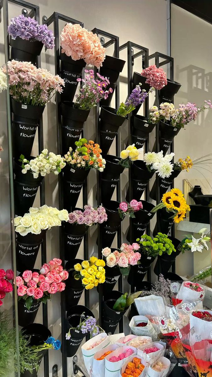 bloomifyyy's tweet image. 