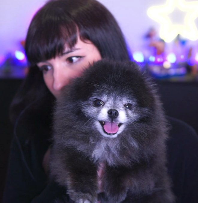 ffayetan's tweet image. continuaremos o castlevania hoje na live hein

na foto: um lobisomem