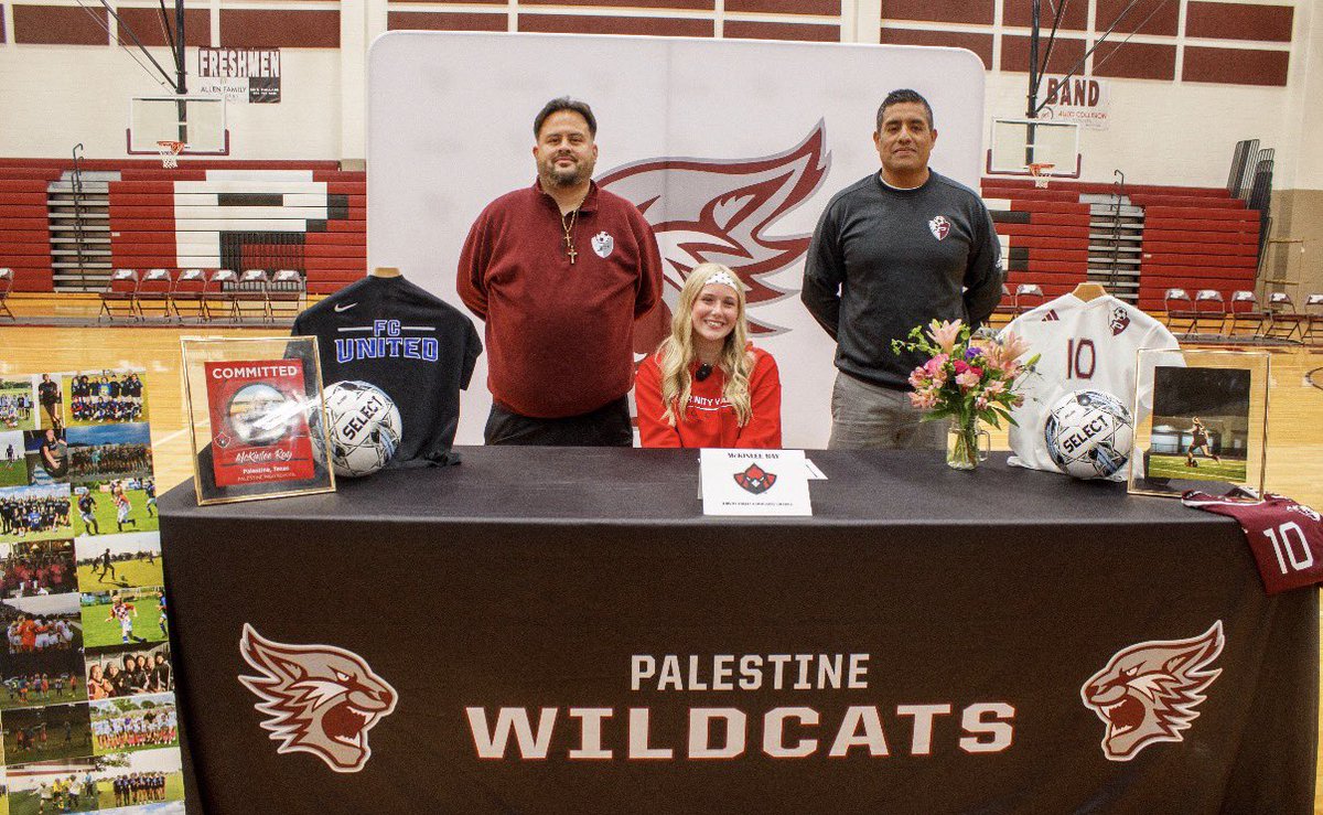 @phswildcatvb tweet media