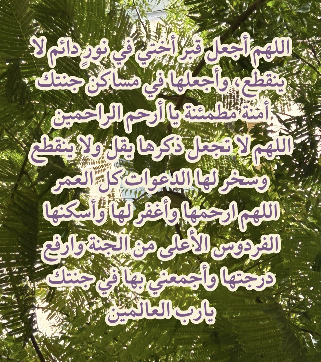 bretkocë (@heriotoropiumu) on Twitter photo 