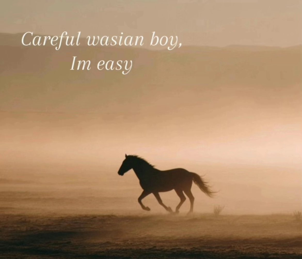 hollanovrryy's tweet image. what the last week has felt like