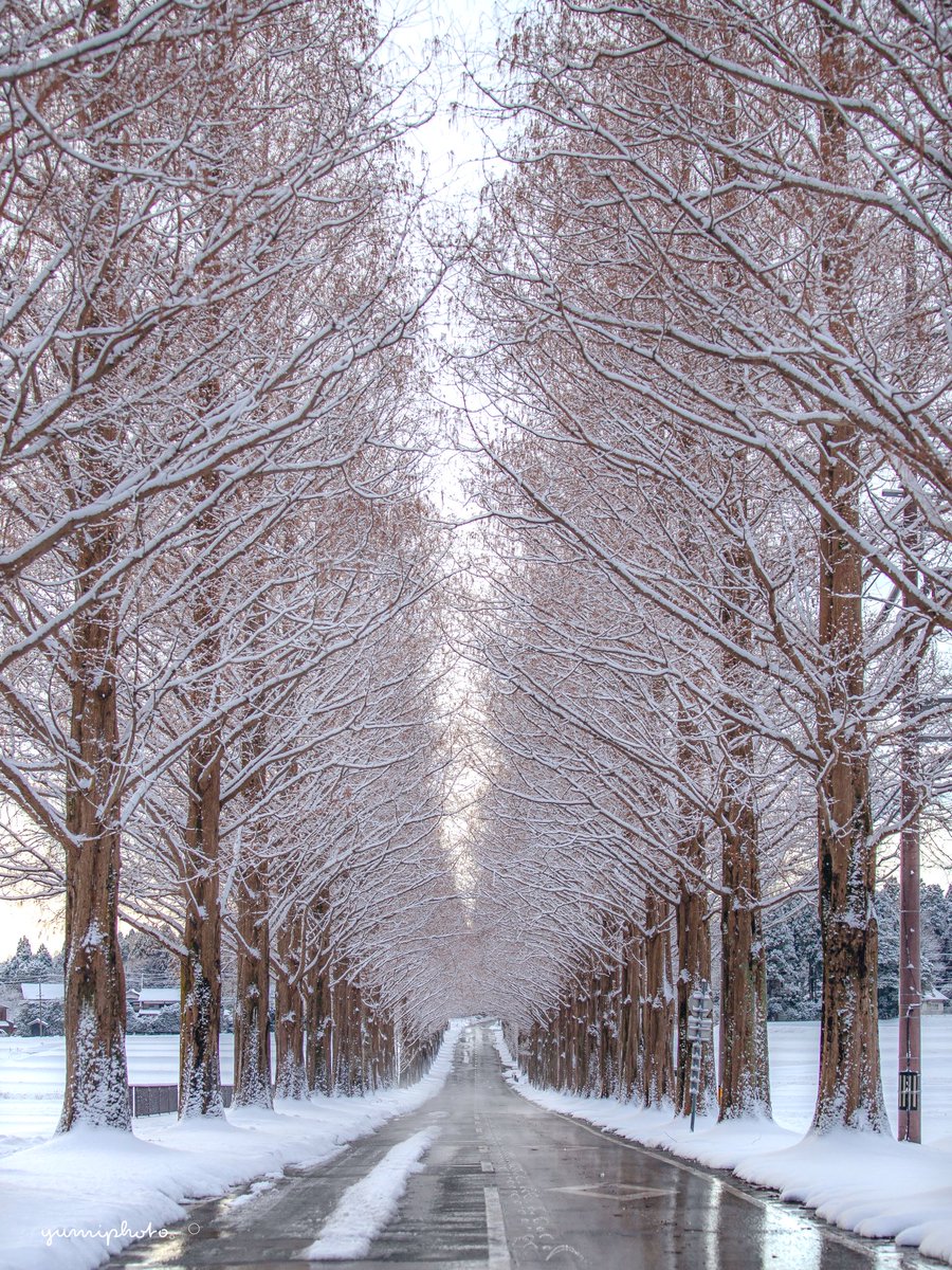 空に青。 (@Sorani___Ao) / Posts / X