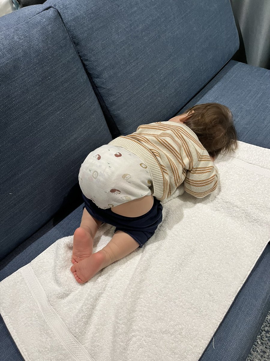 Taka09KMY's tweet image. 一歳児、四季さんのご飯が美味すぎて茶碗2杯食べ、腹持ち良すぎてオヤツも晩ごはんも食べずにさんざん遊び倒し落ちる。