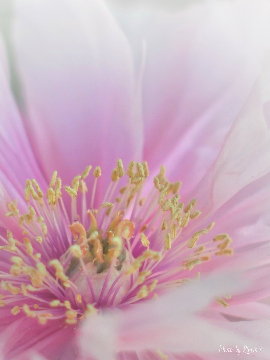 kazumi (@zf1118kazumi) / Posts / X