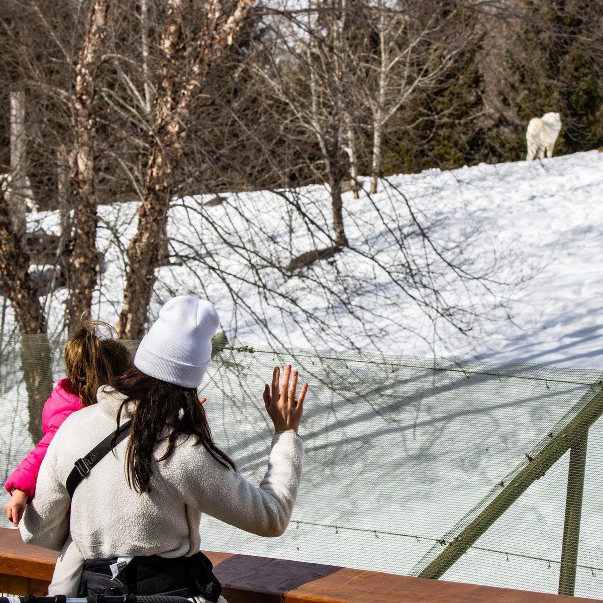 Do you remember? Back in the fall of 2023, we were proud to share news that healthcare professionals can now prescribe a trip to your Zoo to improve mental and physical health! This was thanks to a new collaboration with PaRx, Canada’s national nature prescription program.