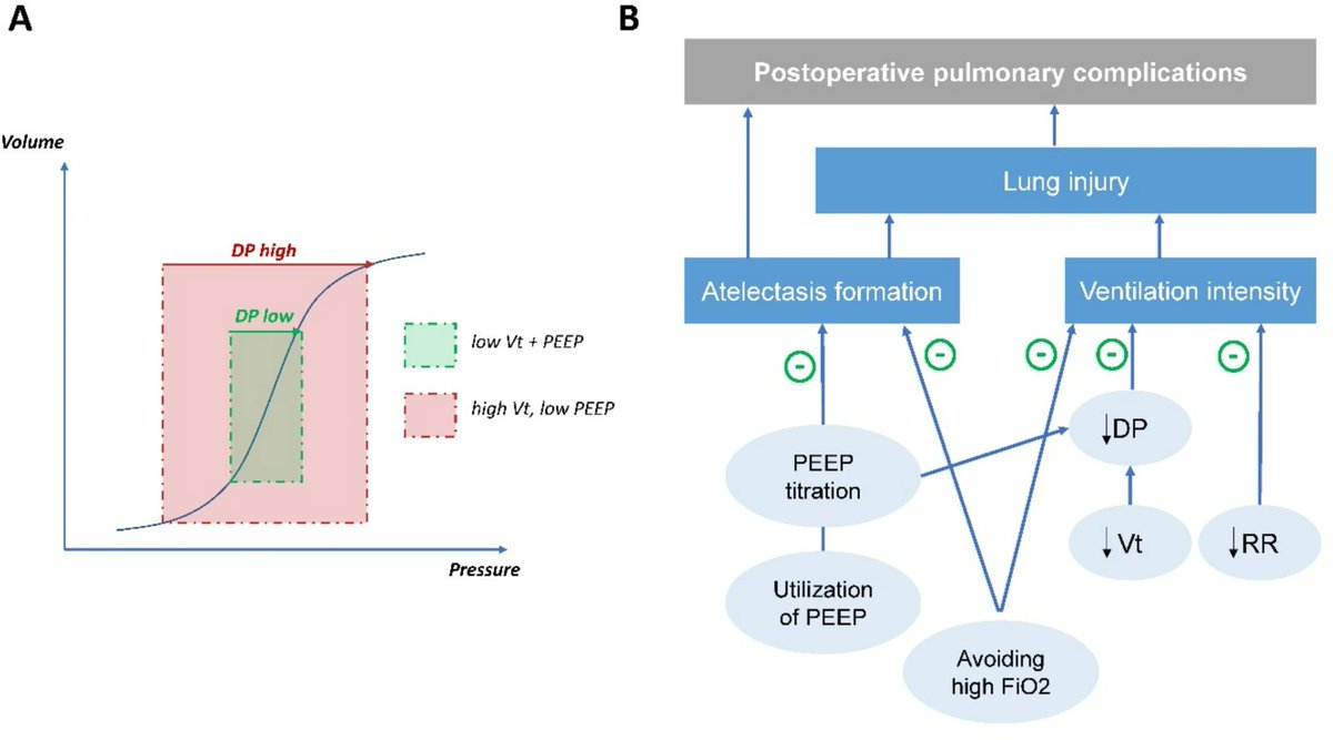 Critical Care Reviews tweet media