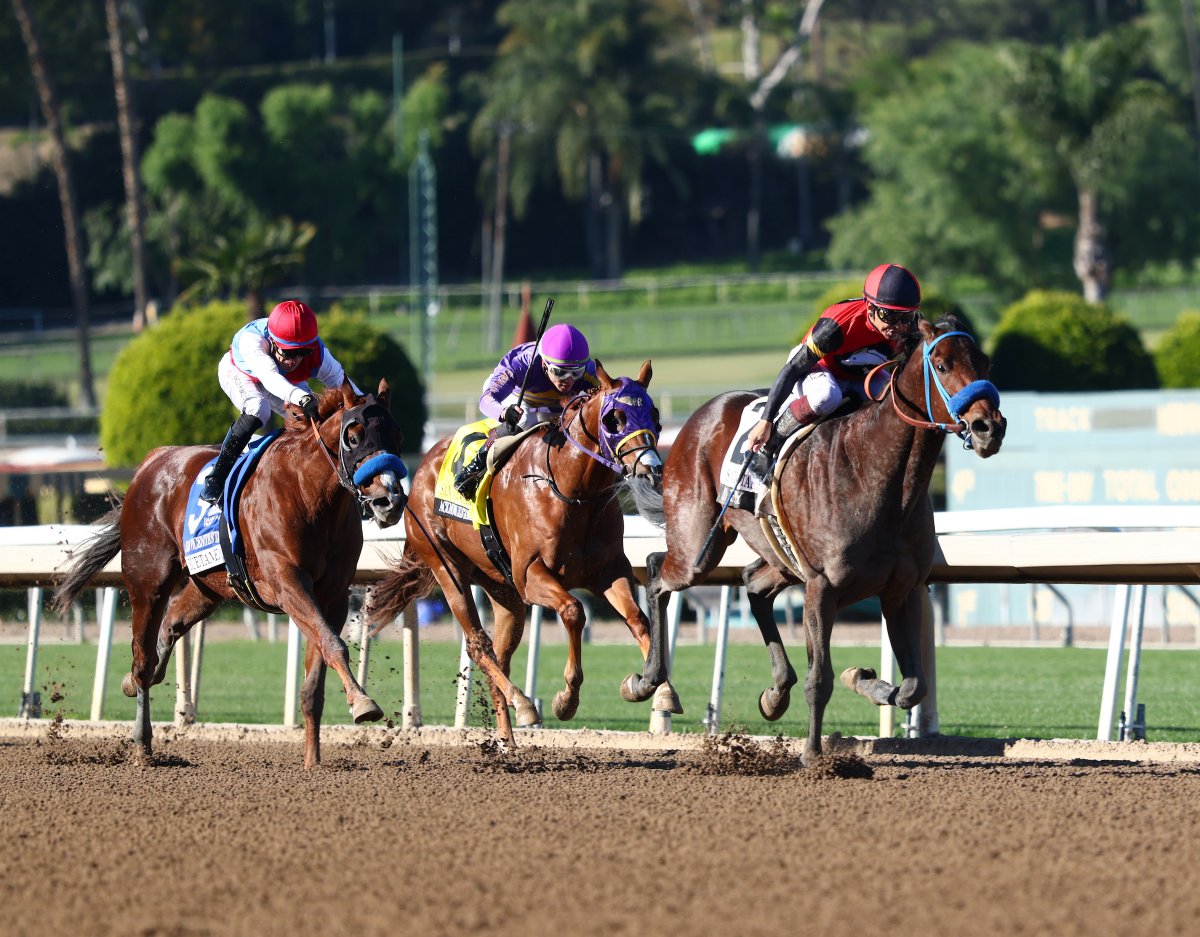 ABRLive's tweet image. From stakes winners at @OaklawnRacing, @SantaAnitaPark, and @fairgroundsnola to notable maiden and allowance winners, the buzz is building around @KentuckyDerby prospects. Our @MikeCurry_ takes a closer look: ⬇️
loom.ly/vXmCC4A