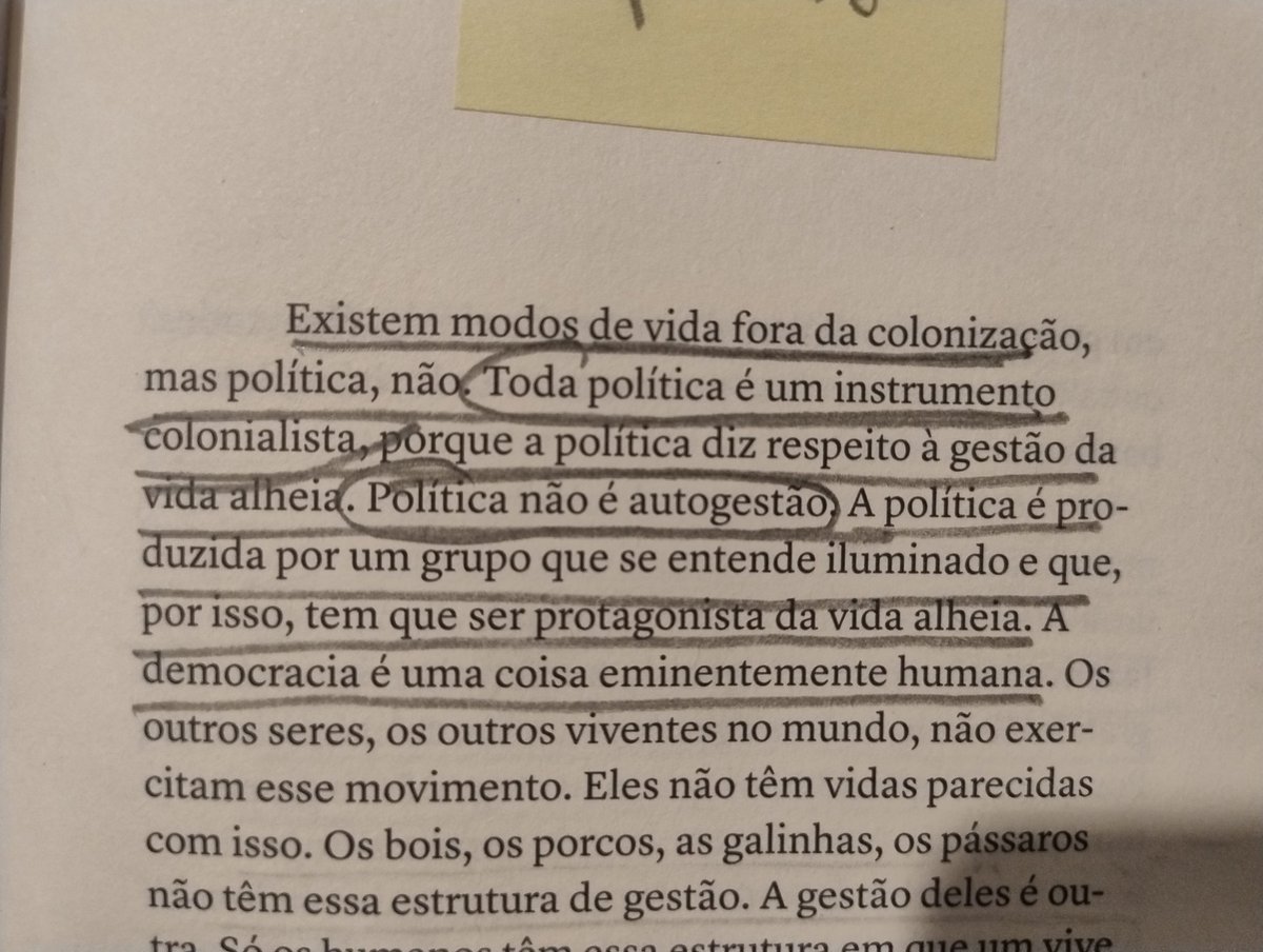 acácio augusto tweet media
