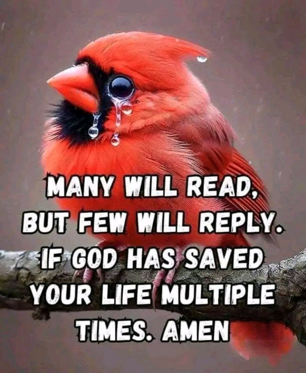 UgandaCentered's tweet image. 