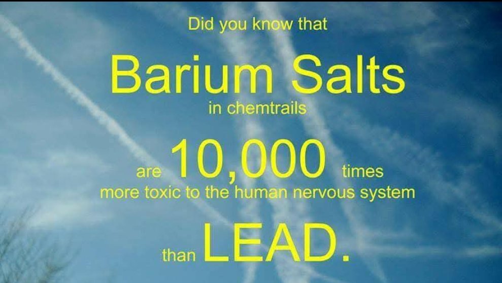 SirenPatriot's tweet image. 