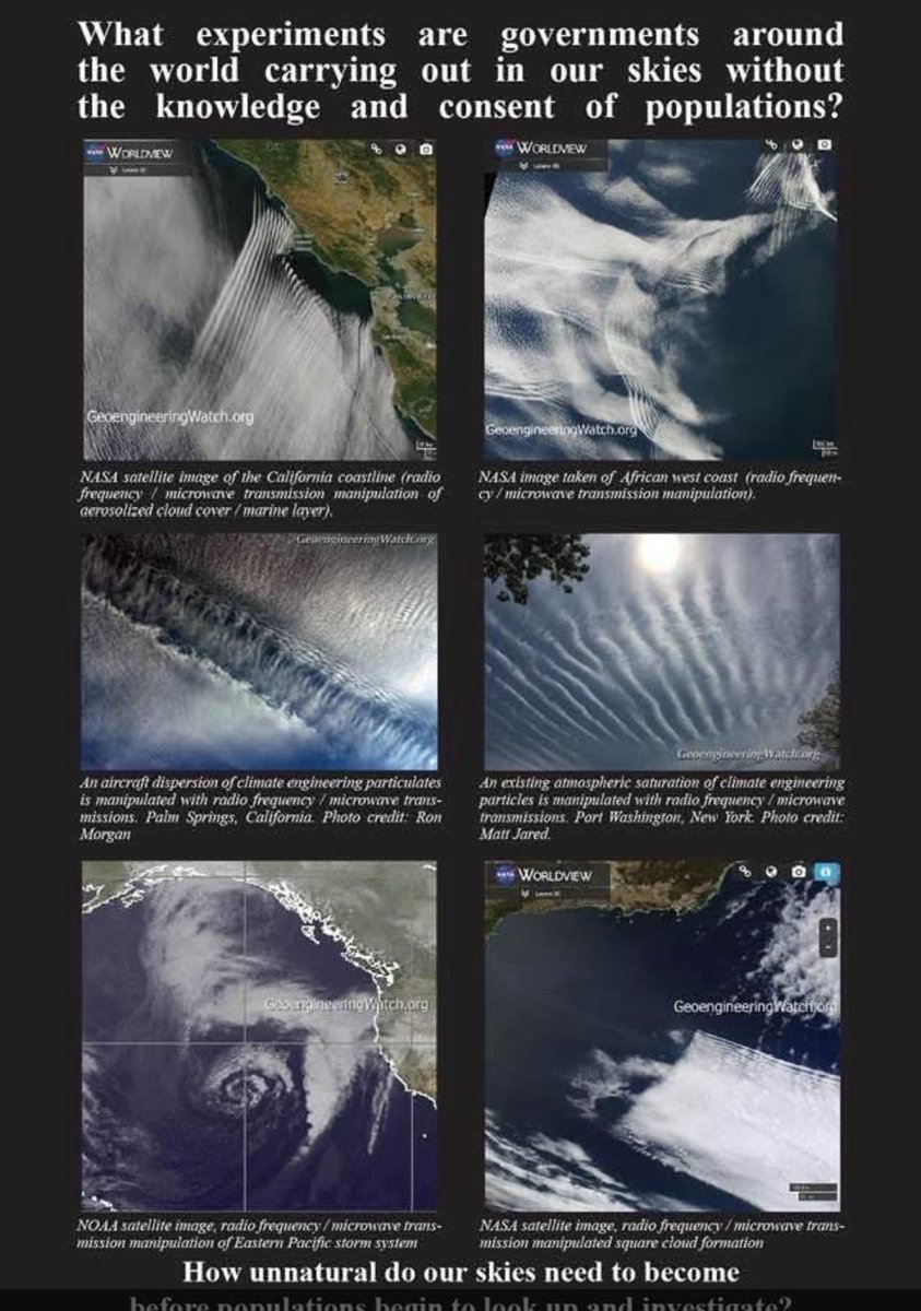 SirenPatriot's tweet image. 