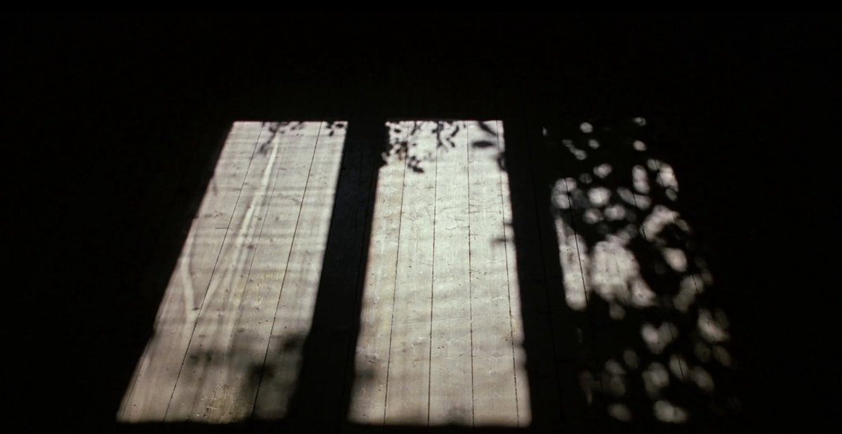 the shadows in sentimental value (2025)