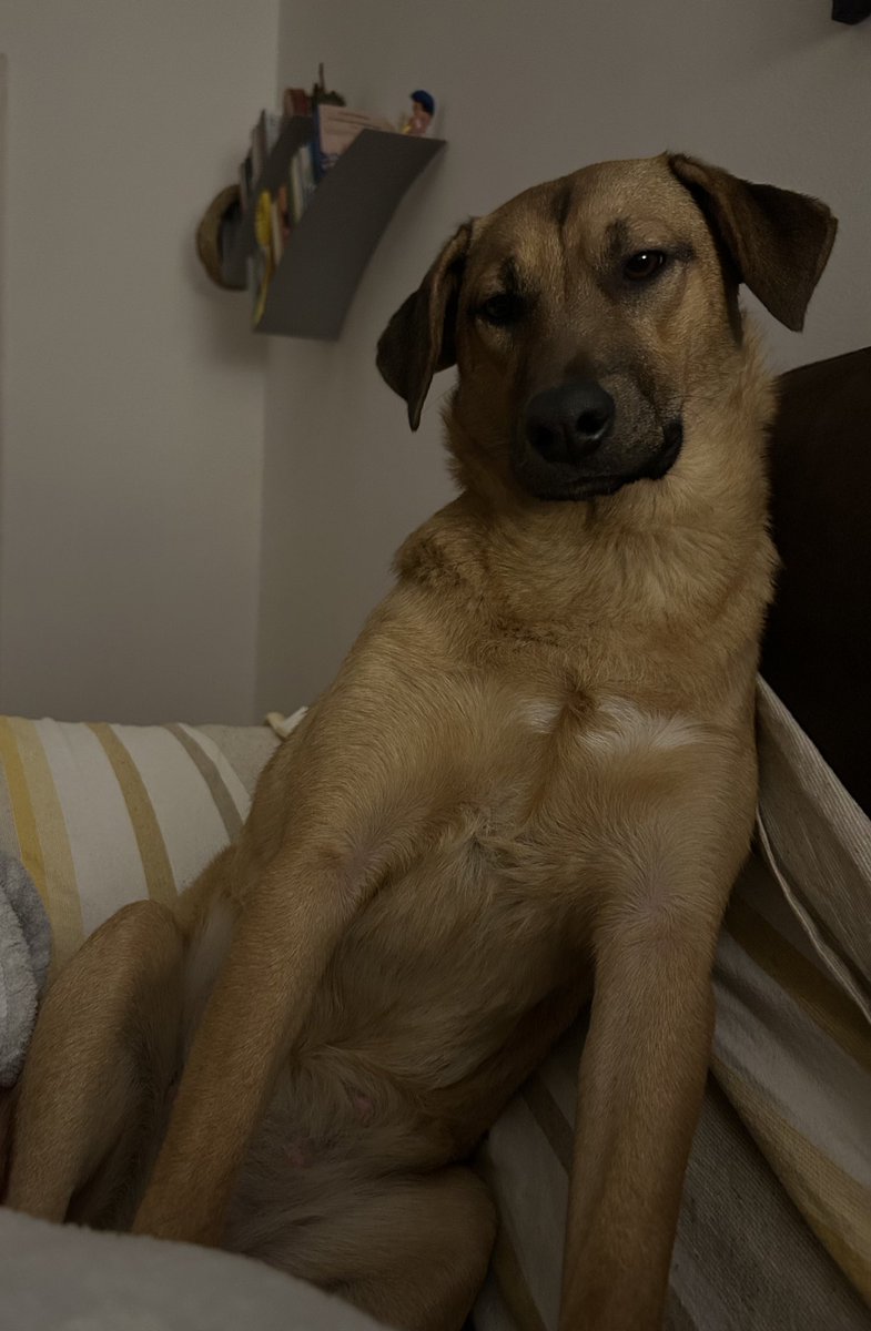 Sì ma passiamo oltre? 1 ora su un caso risolto… #chilhavisto