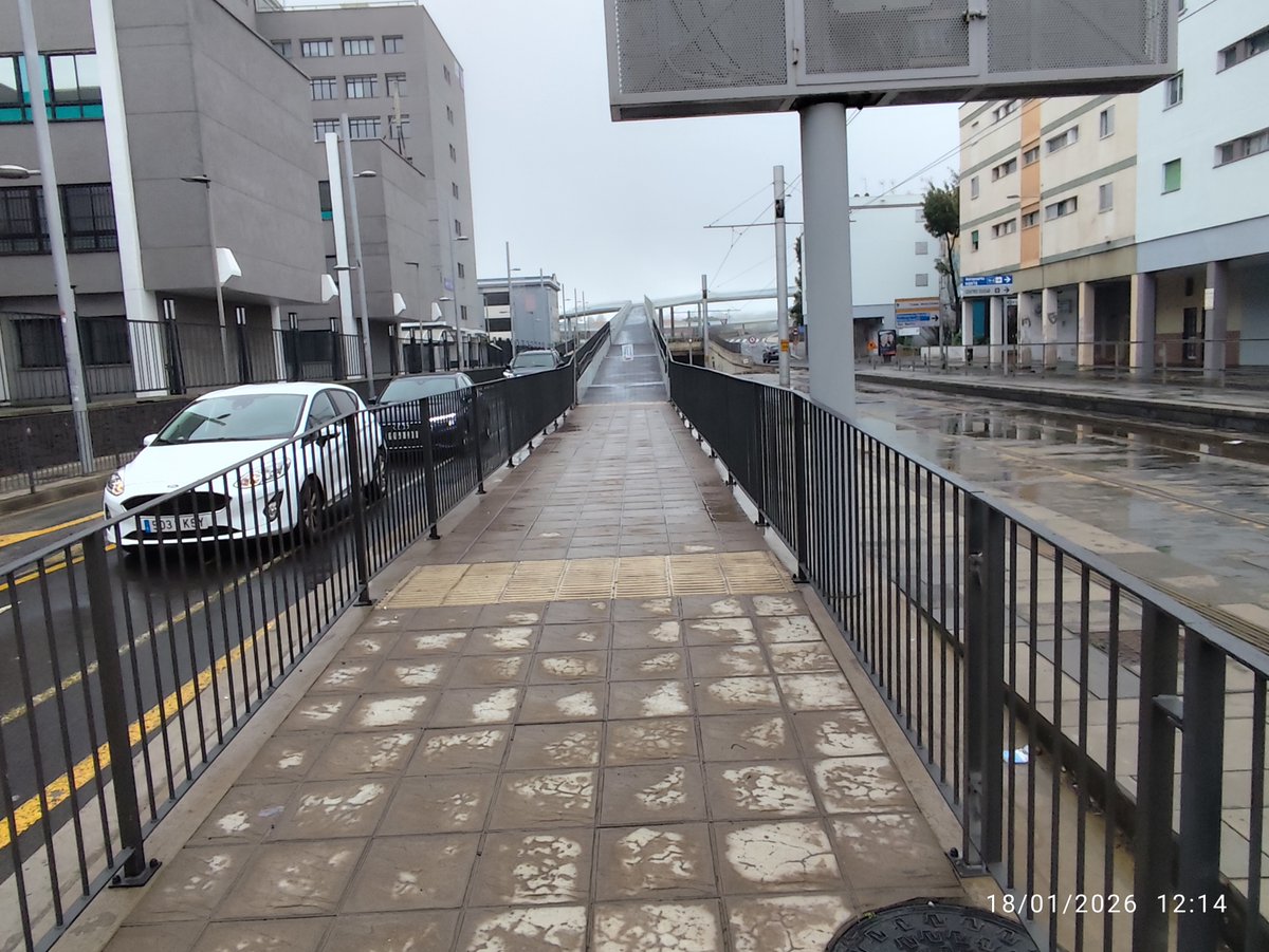 jjafonso tweet media