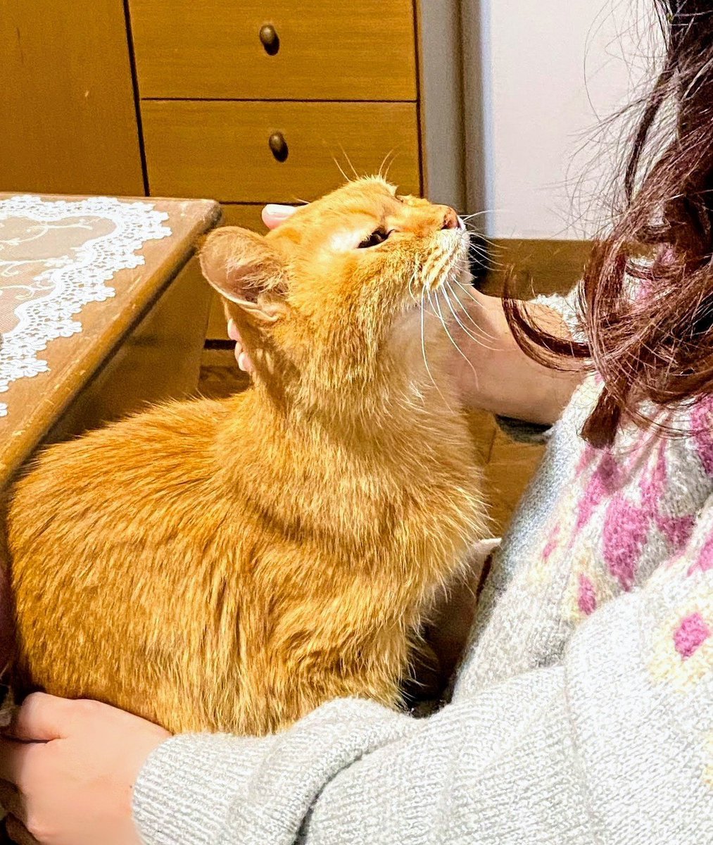 🌈ミリの月命日🌈

キミのこの上ない幸せ顔✨

#あなたの唯一無二の1枚を見せてくれ
#変わらない愛
#きっとまた逢える