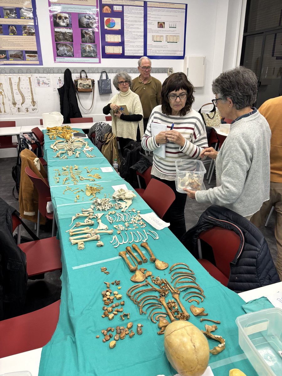 Fernando Rodes tweet media