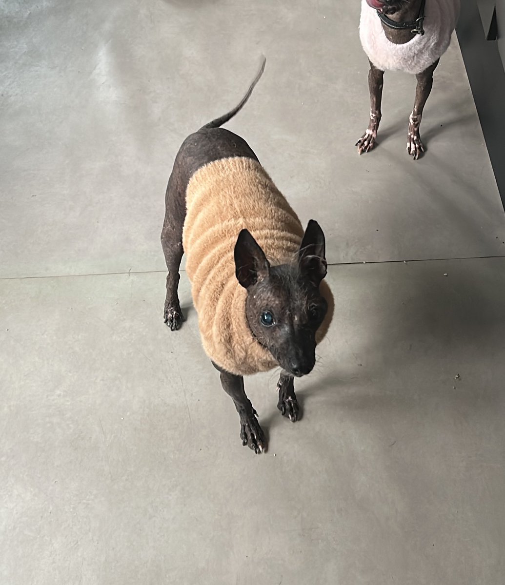 Νικ Σαββιδης tweet media