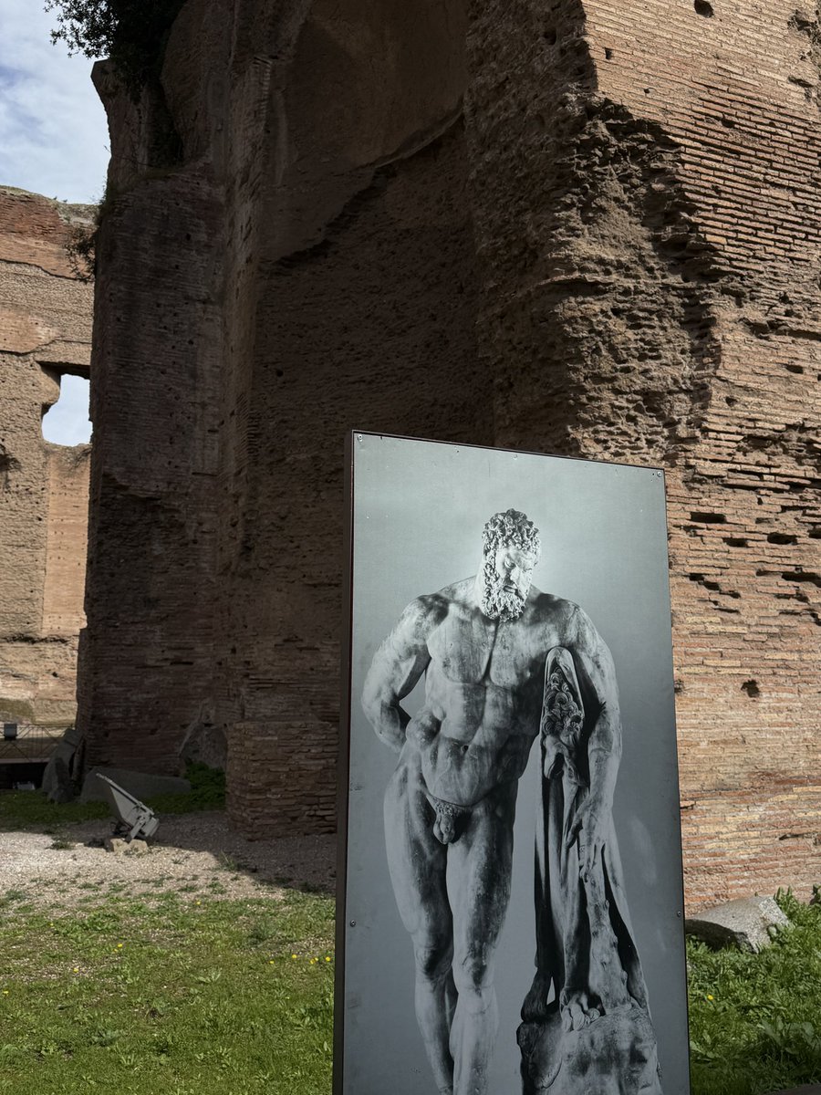 joey pollari tweet media