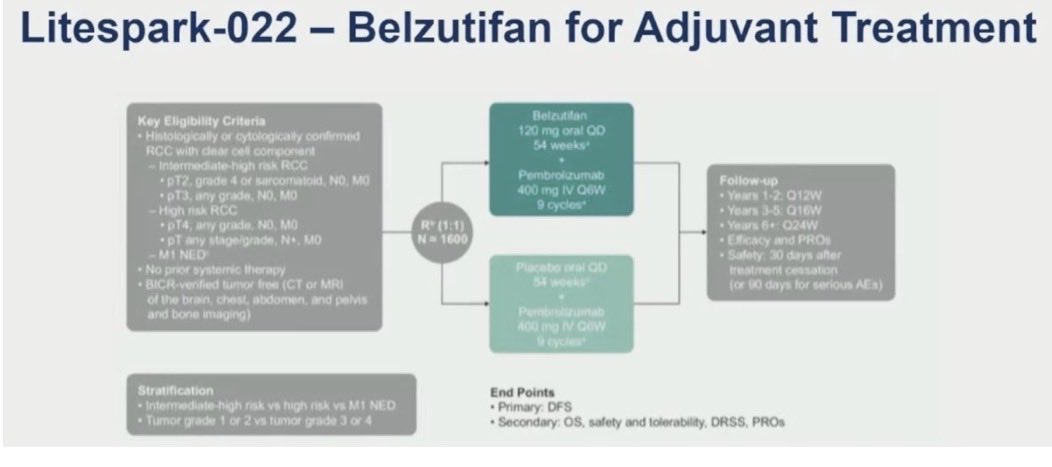 DrChoueiri's tweet image. During @ASCO #GU26, 2 positive RPIII will be presented: LS011 and LS022. Both adding HIF2 inhibitor (@NobelPrize 2019 story with @kaelin_lab et al) to standard of care. Both Trials positive. Saturday Feb 28 will be the day RCC achieves another milestone. 

@OncoAlert @kidneycan…