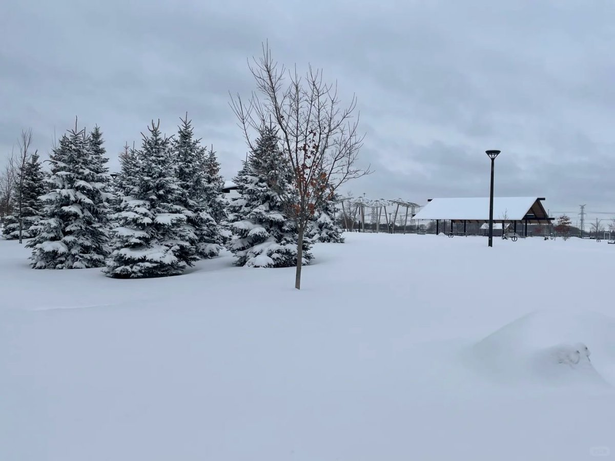 ManfulManda's tweet photo. Lost in a winter wonderland ❄️✨ https://t.co/wrKBKxZohu