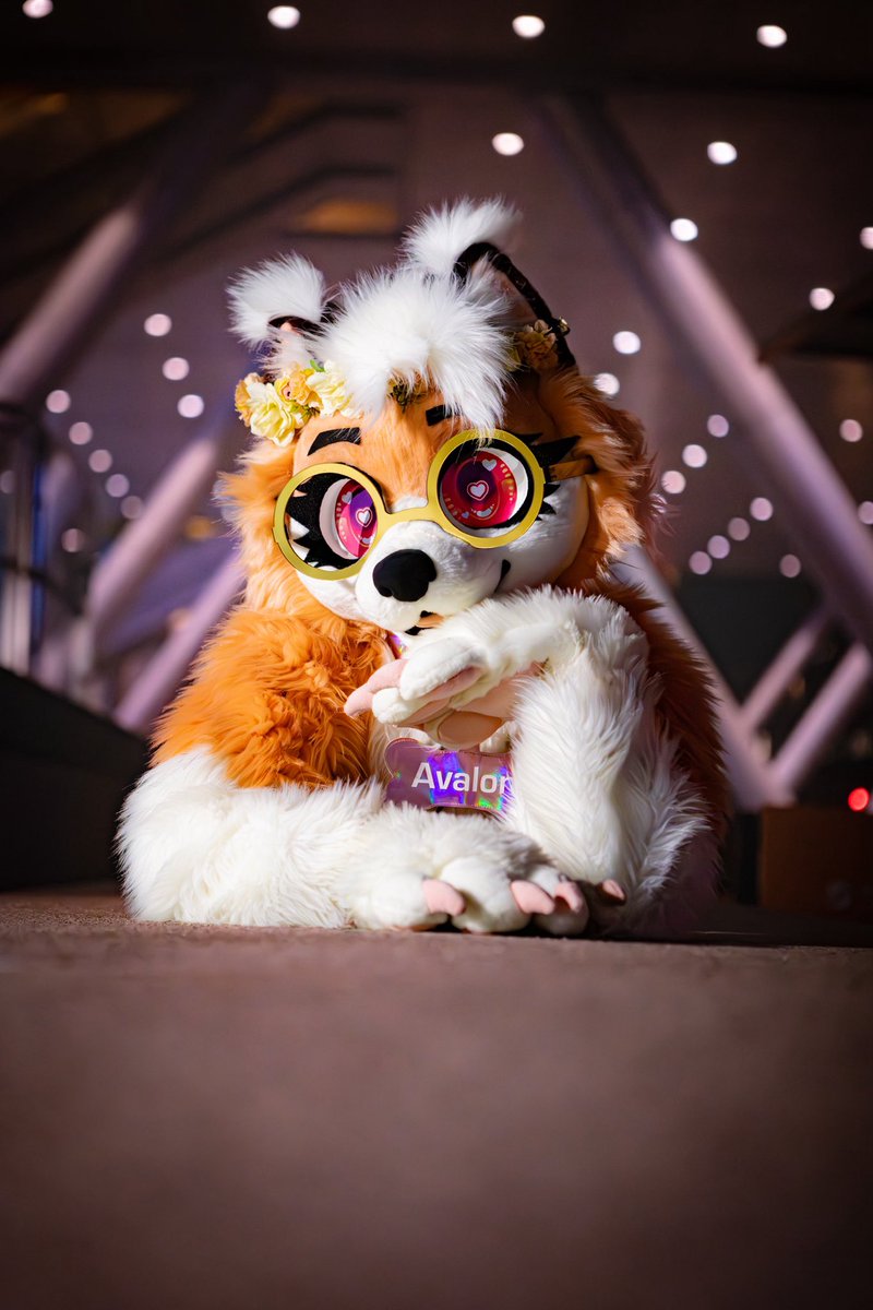 avalon 🔜 ANE tweet media