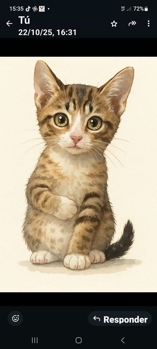 Fernando Guzón ‏ن tweet media