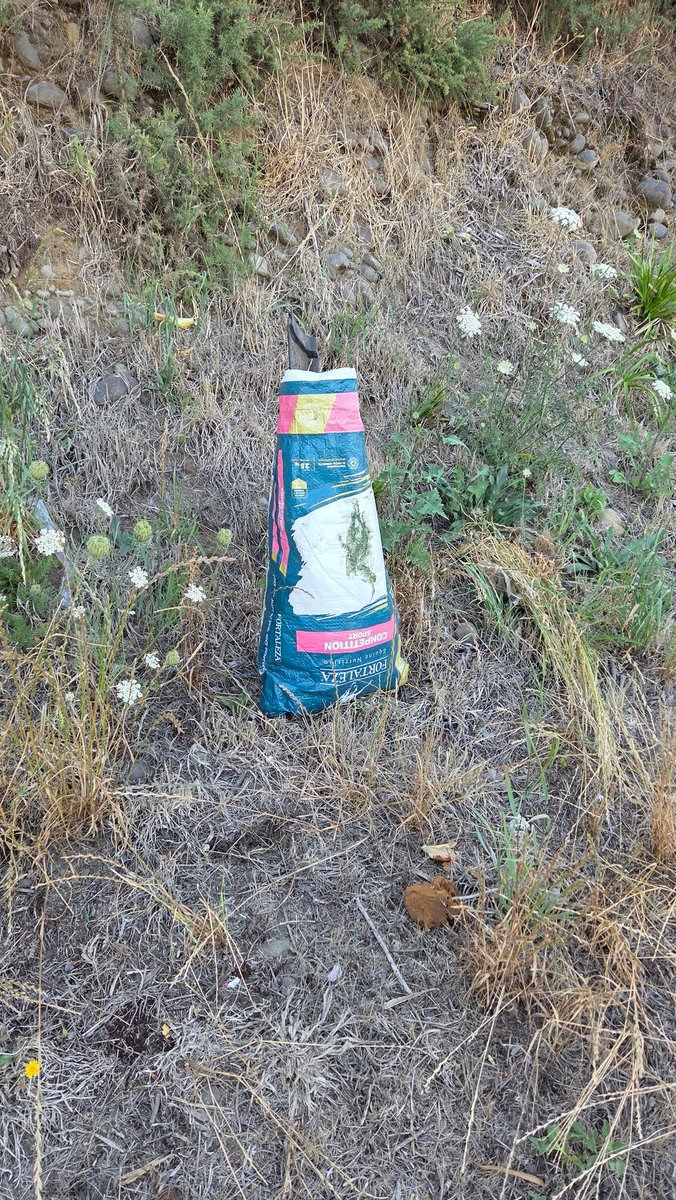 Silvia 🎙 tweet media