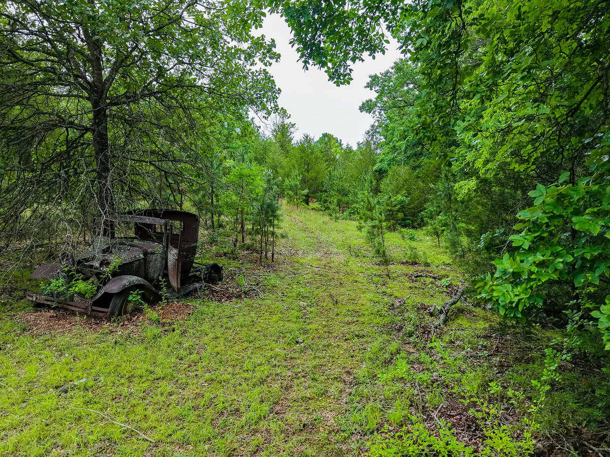 NeedlessToSay's tweet image. 