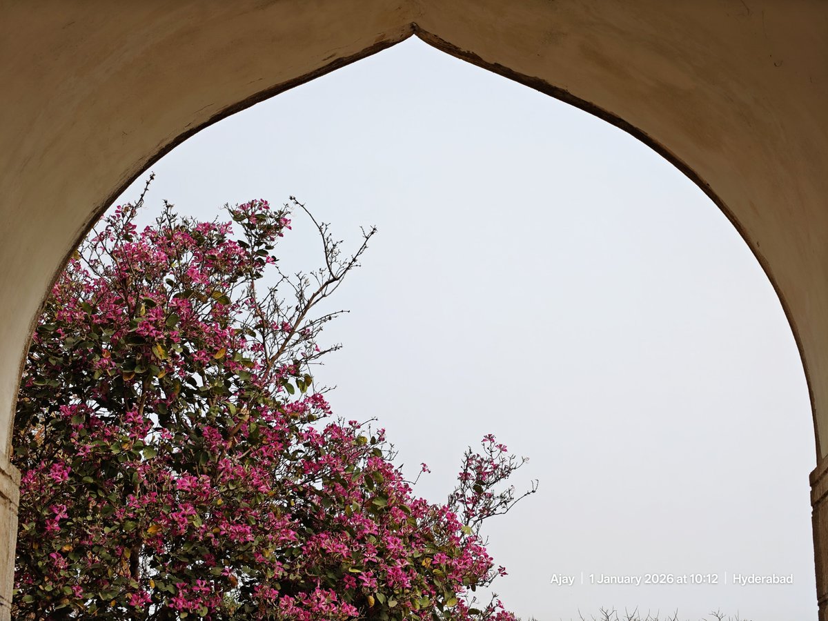 Bahaar, Vasant, Spring