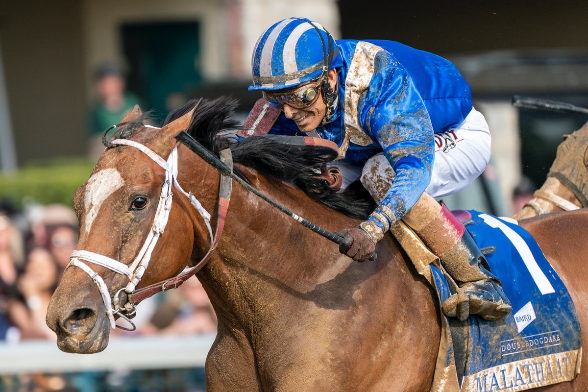 Stonestreet tweet media