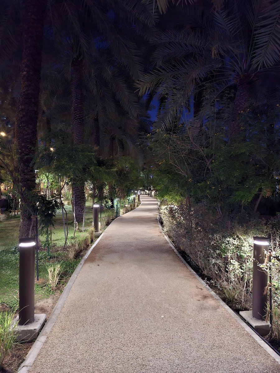 NotAlwaysMo's tweet image. الأربعاء