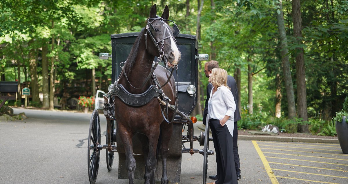 Exploring Holmes County by Carriage: A Unique Way to See Amish Country.
Read more: innathoneyrun.com/exploring-holm…