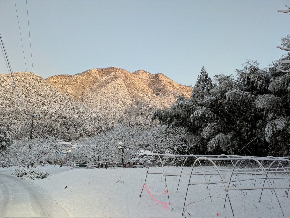 ryu2fu's tweet photo. 積雪の朝の相戸岳⛰️
美しい✨️

＃岐阜
＃山県市
＃相戸岳
＃積雪そこまでない https://t.co/EeMjAW5w0t