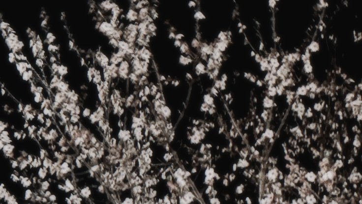 ‧₊˚ ⋅ 𖣂 #seungmin𓂃🪾 ࣪ ִֶָ.