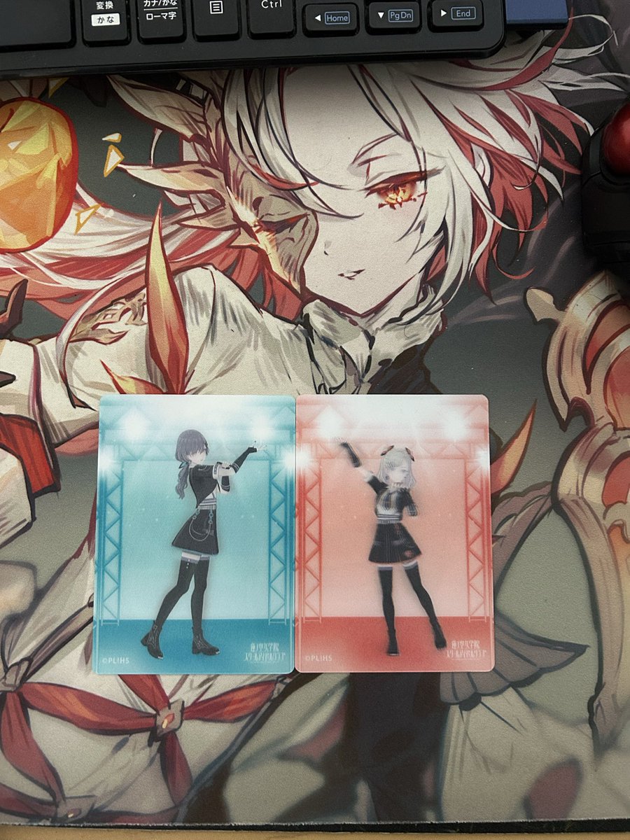 記念に買った2枚でまさかペアで当たるとは…

あなたに…忠誠を…誓おぉぉ！