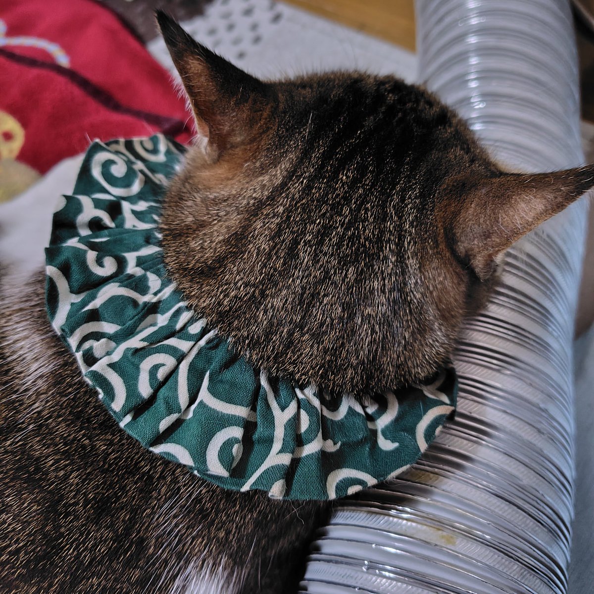 のぶりん (@Nana7Poirot1) / Posts / X