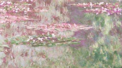 Gaia ☀︎︎︎ tweet media