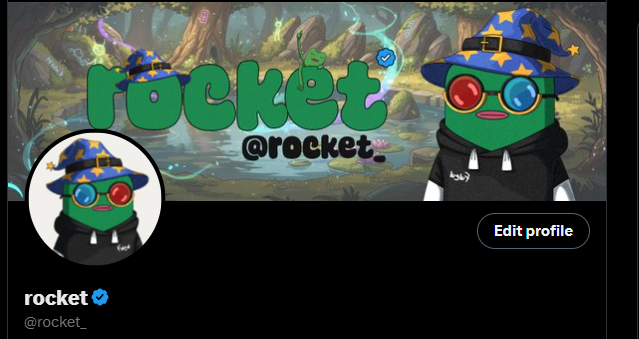 rocket_'s tweet image. new banner vibes

great work from @zaish_art