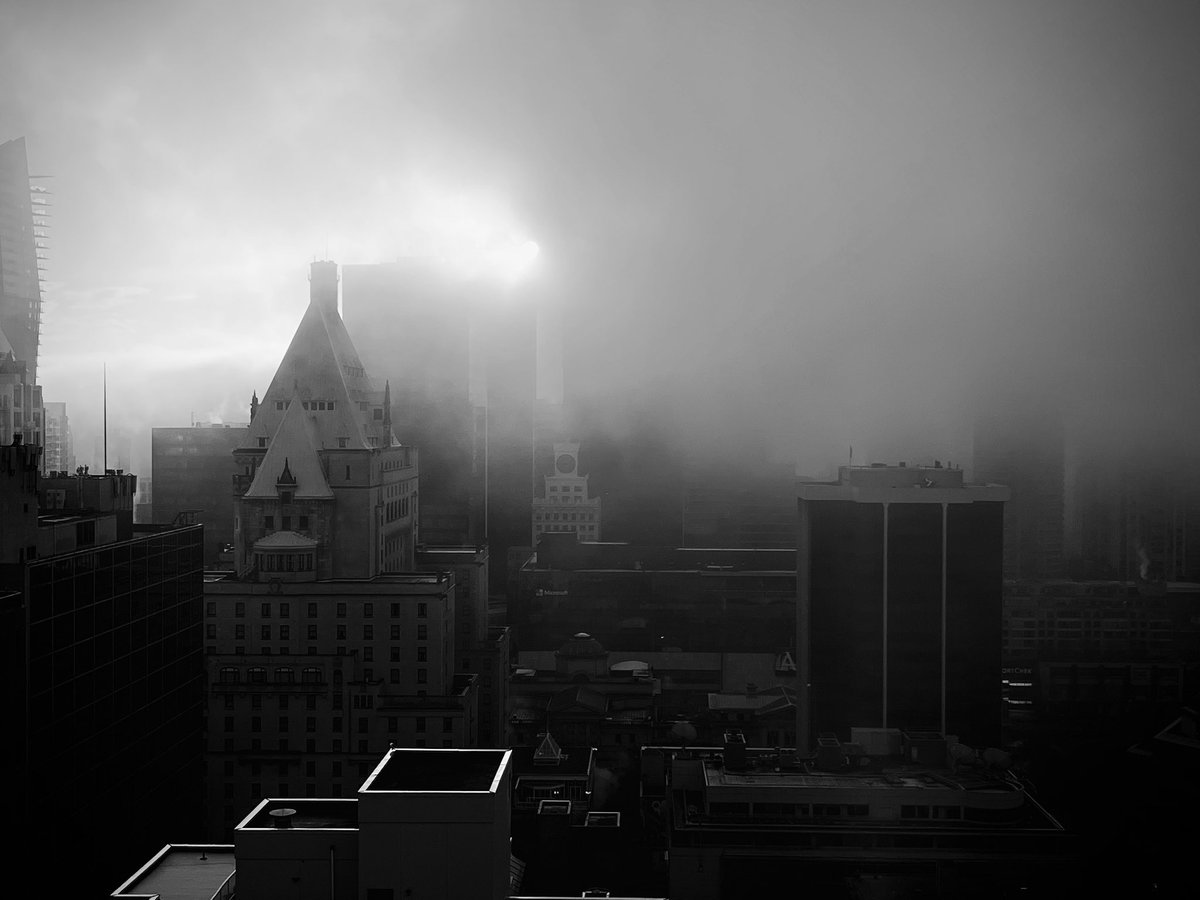 Samantha Collier tweet media