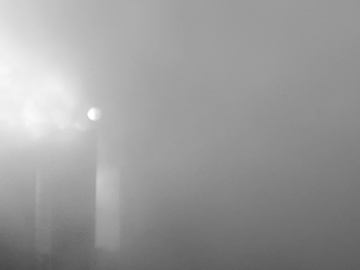 Samantha Collier tweet media