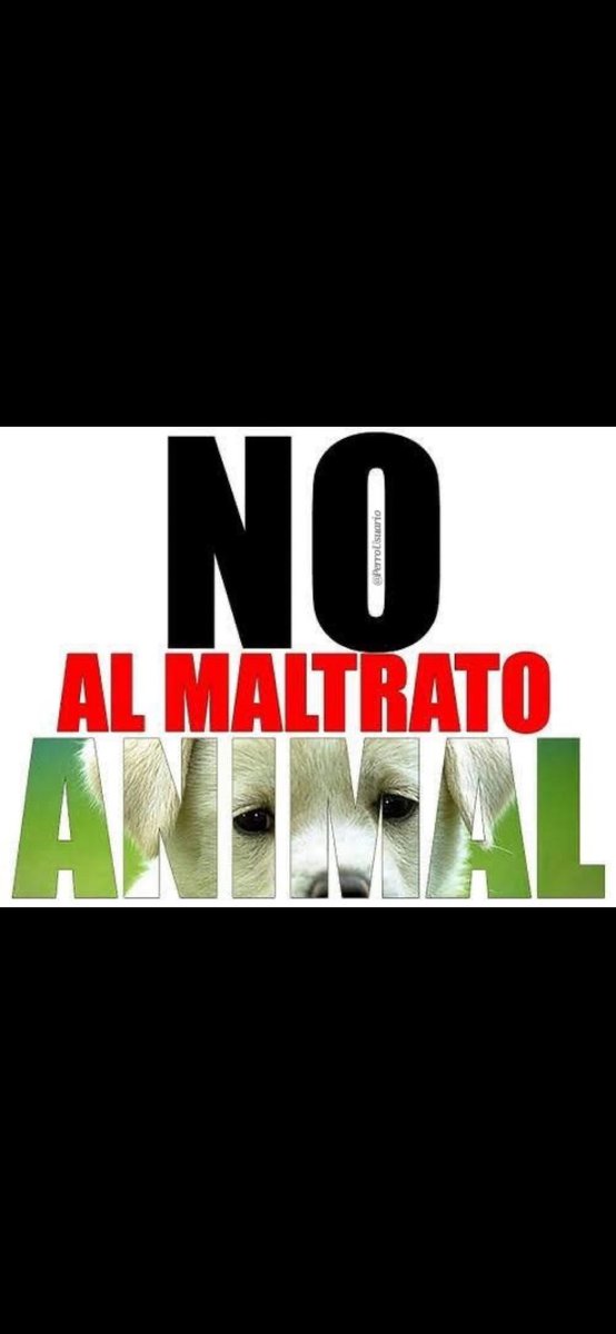 <a href="/AbigailTor15802/">Abigail Torres</a> #NoAlMaltratoAnimal #NoALaCrueldadAnimal 👎🏻