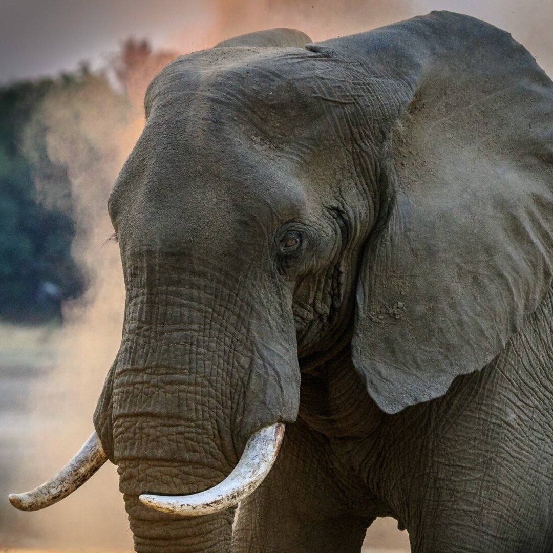 JUST IN: The European Union has officially suspended trade deals with the US.