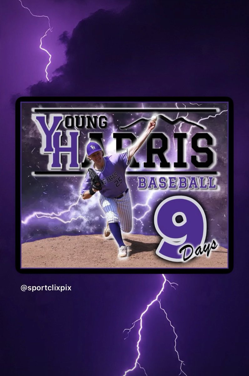 YHC Baseball tweet media