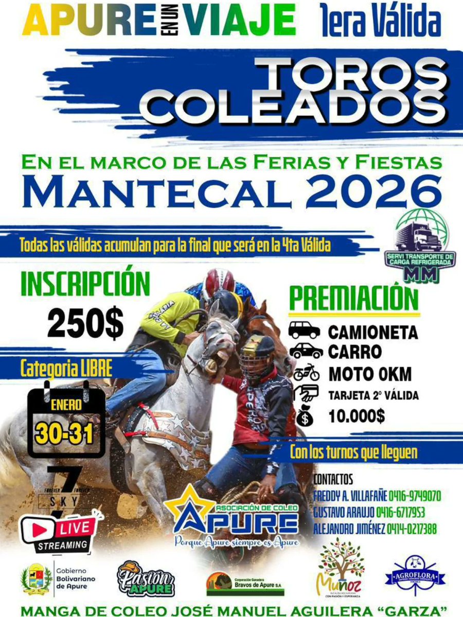 Tardes de Toros Coleados en la población de Mantecal del Estado Apure. Viernes 30 y Sábado 31 de Enero 2026. #toroscoleados #musicallanera #joropollanero