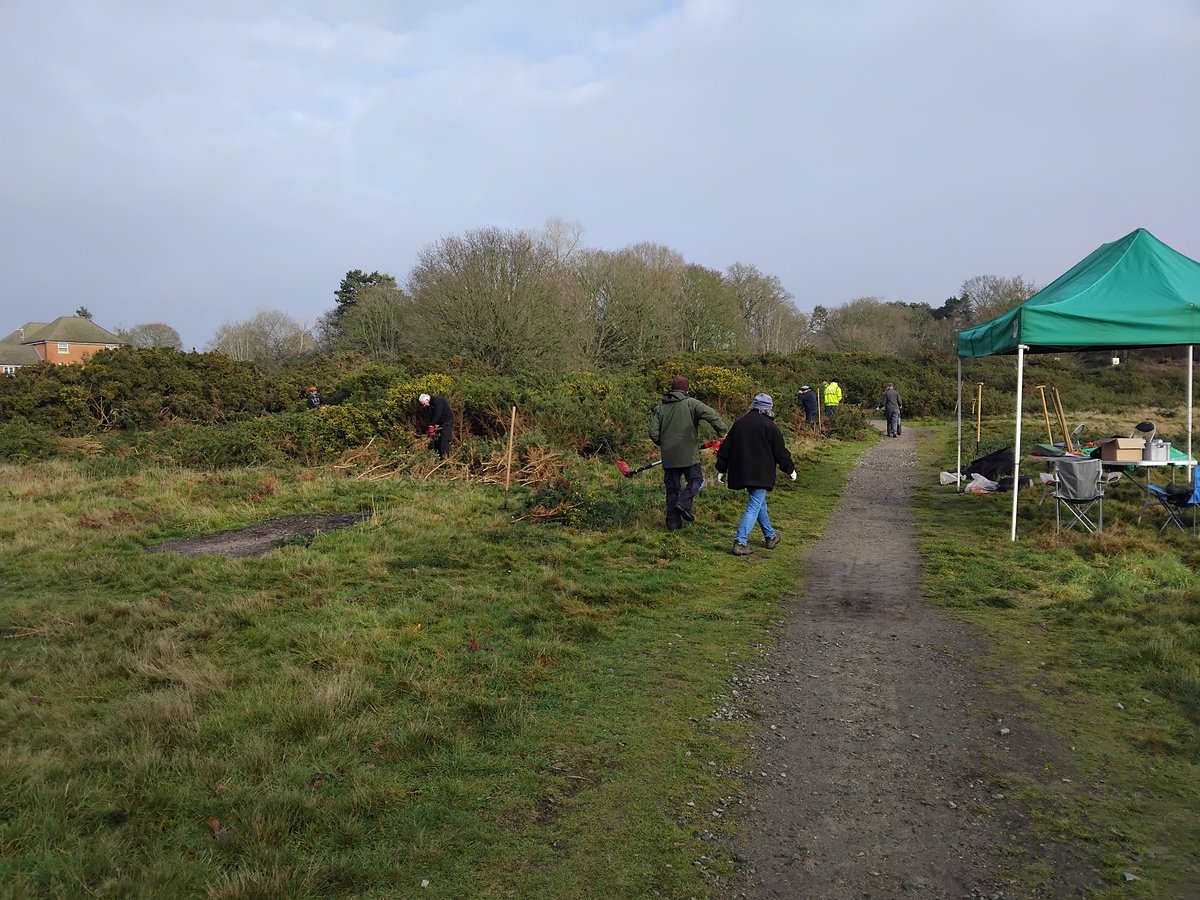 Greenways Project tweet media