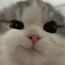 marcy | conclaving (@chronomarcy) on Twitter photo 