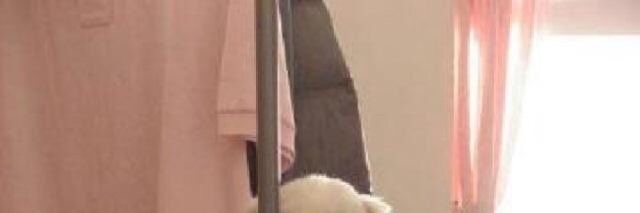 twperritos's tweet image. 