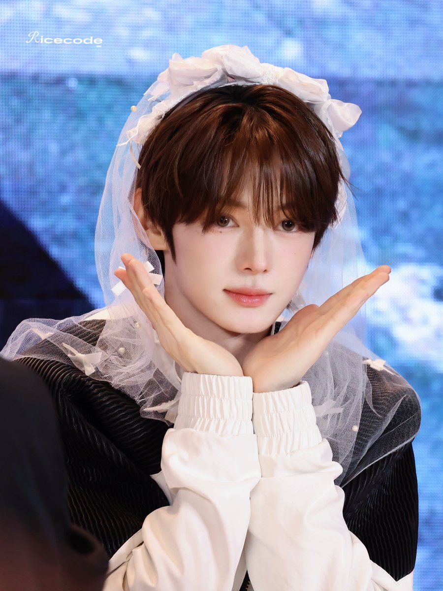 RIceCode tweet media